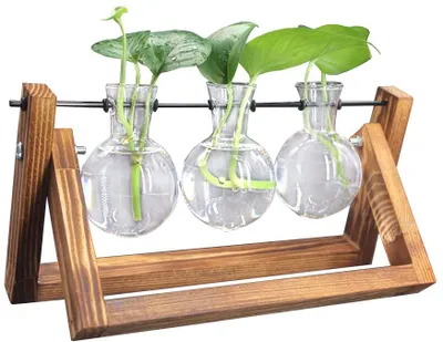 Obrázek produktu pro Dekorativní dřevěný držák s hydroponickou skleněnou vázou Závěsná váza Květinová váza Stolní váza Dekorativní váza (3 vázy)