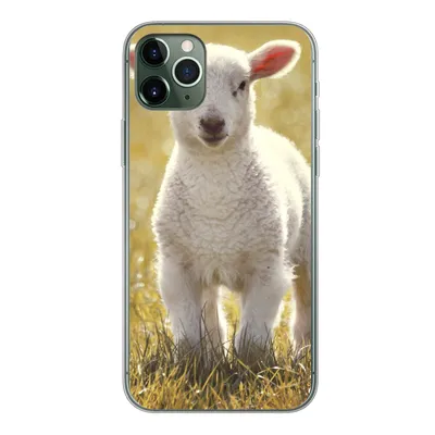 Produktbild von MuchoWow® Handyhülle Schutzhülle Hülle für iPhone 11 Pro Max Lamm - Gras - Sonne Silikon Softcase Handy Hülle - Schutz