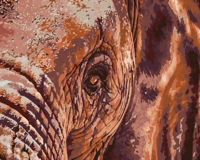Produktbild von Diamondi - Diamond painting - ELEFANTENBLICK, 40X50 cm, mit Keilrahmen (bereits gespannt)