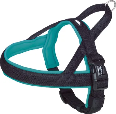 Produktbild von Nobby 80553-34, Hund, Sicherheitsgurt, L, Schwarz, Türkis, Metall, Nylon, Einfarbig