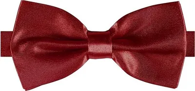 Produktbild von Fliege Deluxe Bordorot Karneval