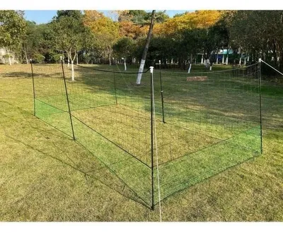 Immagine prodotto di Set di reti per pollame da 12 m nero/verde Zolux
