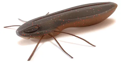 Produktbild von Nays BG 2.5 - 5 Gummiköder, Farbe:C-27