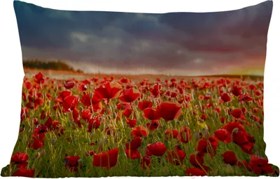 Produktbild von MuchoWow® Outdoor Kissen - Sonnenuntergang über einem Feld von Mohnblumen - 50x30 cm - Wetterfest - Lounge Kissen - Sofa kissen - Wohnzimmer Dekoration