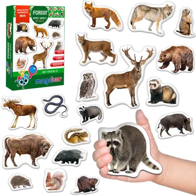 Imagen del producto de Imanes para nevera para niños – 20 imanes de animales del bosque – juguete educativo