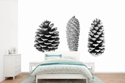 Produktbild von MuchoWow® Fototapete für Wohnzimmer oder Schlafzimmer Wandtapete Vinyl Motivtapete Tannenzapfen - Natur - Schwarz und Weiß - Herbst - 600x400 cm - Vinyltapeten