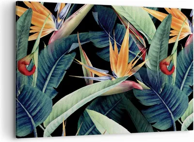 Produktbild von Bild auf Leinwand - Leinwandbild - Einteilig - Pflanze Tropisch Blume - 100x70cm - Wand Bild - Wanddeko - Wandbilder - Leinwanddruck - Bilder - Wanddekoration - Leinwand bilder - AA100x70-5093