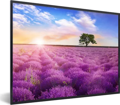 Produktbild von MuchoWow® Gerahmtes Poster Lavendel - Baum - Sonnenuntergang - Lila 80x60 cm - Poster mit Schwarzem Bilderrahmen Wandposter Rahmen Foto Bilder - Schwarzem - Mit Gestell