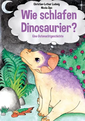Produktbild von Wie schlafen Dinosaurier?