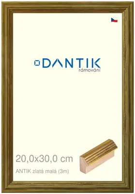 Obrázek produktu pro DANTIK rámeček 20x30 | ANTIK zlatá malá (Sklo Čiré)