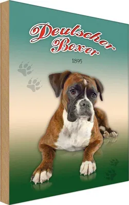 Produktbild von vianmo Holzschild 18x12 cm Hund Deutscher Boxer 1895 Tier Haustier