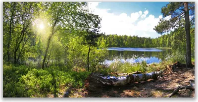 Produktbild von Tulup Leinwand-Bilder 120x60 Wandbild Canvas Kunstdruck Wald See Natur
