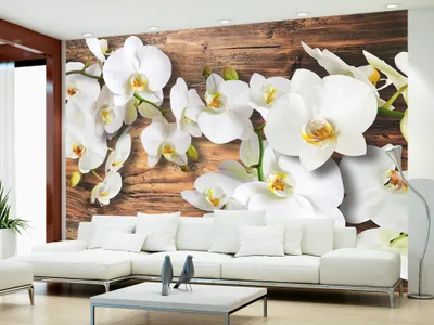 Produktbild von Vlies Fototapete 400x280 cm Tapeten Wandtapete XXL Blumen 10110906-44