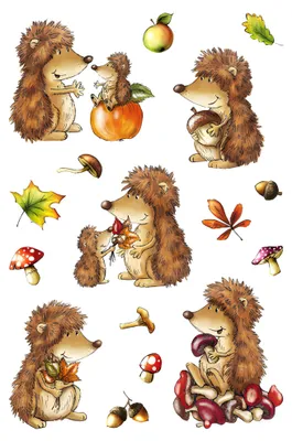 Image de HERMA Sticker DECOR "Hedgehog" 3 feuilles de 16 autocollants