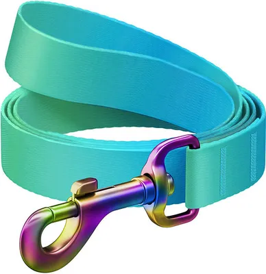Immagine prodotto di Waudog Guinzaglio in nylon sfumato per cani, L 15 m, L 122 cm, blu