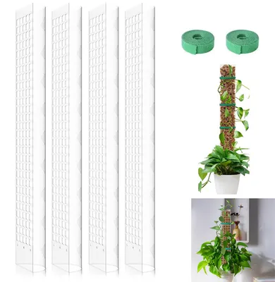 Produktbild von Monstera Rankhilfe 4er Set, 24 Zoll Moosstab, Erweiterbar, Pflanzenstütze für Zimmerpflanzen, Weiß