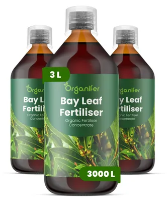 Produktbild von Lorbeer Flüssigdünger 3x1L – 3-4-3 NPK – Flüssigdünger Für Kräuter & Zierpflanzen – Fördert Vitalität & Aroma – Organifer