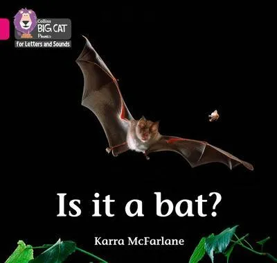 Produktbild von Is it a Bat?