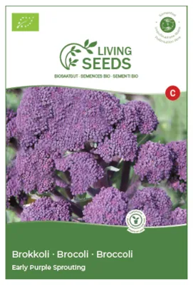 Produktbild von Broccoli Early Purple Sprouting 4.1g Saatgut von Living Seeds