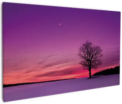 Produktbild von Wallario Premium Leinwandbild Mond und Baum am Abend bei Schnee in Größe 60 x 90 cm