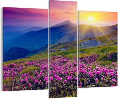 Produktbild von Bild auf Leinwand - Leinwandbild - Wiese Berge Landschaft - 95x80cm - Wand Bild - Wanddeko - Leinwanddruck - Bilder - Kunstdruck - Wanddekoration - Leinwand bilder - Wandkunst - CB95x80-2676