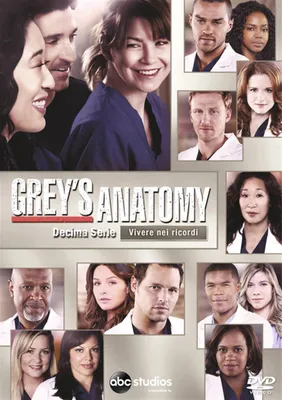 Produktbild von Walt Disney Pictures Grey's Anatomy - Season 10, DVD, Englisch, Spanisch, Italienisch, Drama, 2D, Dänisch, Niederländisch, Englisch, Spanisch, Finnisch, Italienisch, Norwegisch, Schwedisch, 16:9