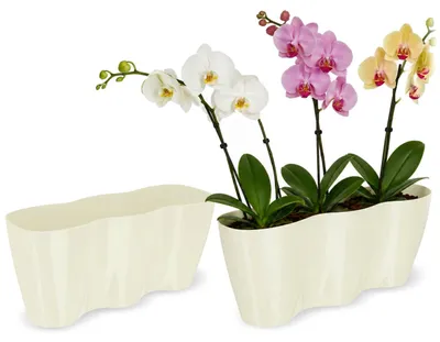 Obrázok produktu pre KADAX kvetináč "Fermo", kvetináč, plastový kvetináč, kvetináč, krémový, 35 cm