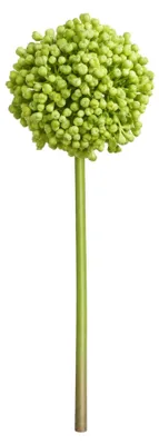 Produktbild von G.blümt Künstliche Allium Stielblume 53 cm, Zierlauch Kunstblume wie echt, Blumendeko Grün 1 Stück