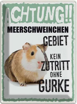 Produktbild von vianmo Blechschild 40x30 cm Tiere Achtung Meerschweinchen Tier Haustier