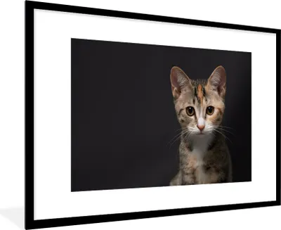 Produktbild von MuchoWow® Gerahmtes Poster Katze - Schwarz - Porträt 90x60 cm - Poster mit Schwarzem Bilderrahmen Wandposter Rahmen Foto Bilder - Wanddekoration - Fotos