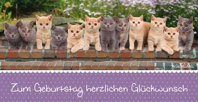 Produktbild von Geburtstag – Glückwunschkarte im Format 11,5 cm x 22 cm mit