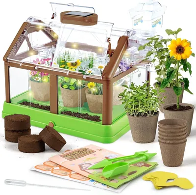 Zdjęcie produktu dla Zestaw 4 roślin w miniaturowej szklarni dla dzieci