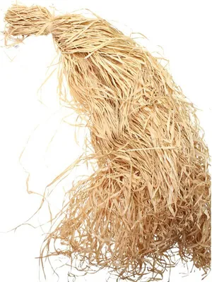 Produktbild von 1kg Bast Raffia Naturbast Florbast Raffiabast Bindebast 1000g natur Dekobast