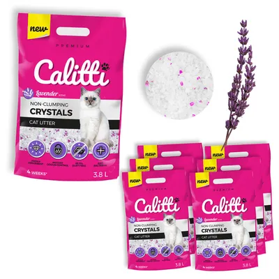 Produktbild von Calitti Silikat Katzenstreu Lavendelduft – Premium Kristallstreu, antibakteriell & staubfrei – 6er Set (6×3,8 L = 22,8 L)