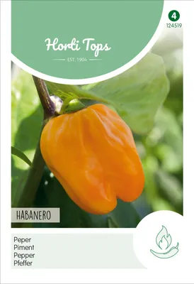 Produktbild von Chili Habanero Orange | Chilisamen von Hortitops