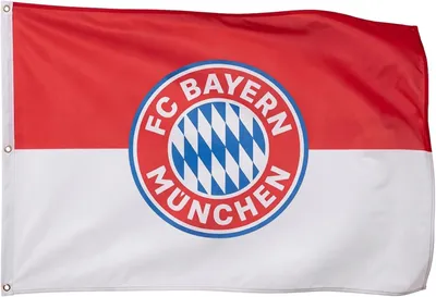 Produktbild von FC Bayern München Hissfahne Logo 180x120cm