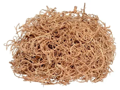 Produktbild von Curly Moos natur ca. 50 g Dekomoos Tamarindenfaser Basteln Floristik Modellbau