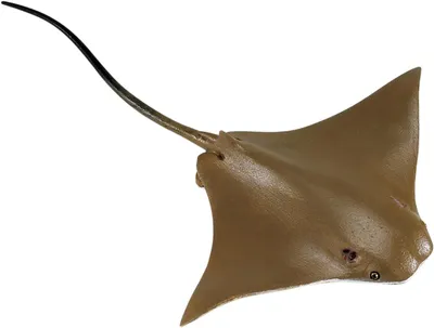Produktbild von Safari - 161305 - Kuhnasenrochen, Meerestier, 17cm x 13,8cm x 8,5cm, Kunststoff