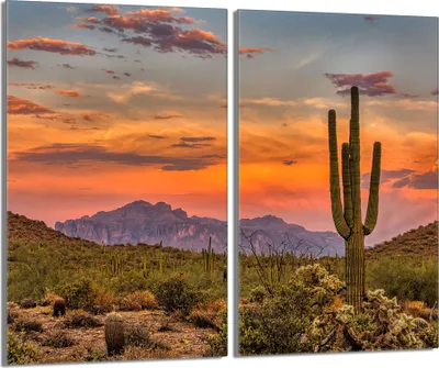 Immagine prodotto di Piastre copriforno 2 pezzi 30x52 Vetro copriforno in Vetroceramica, paesaggio cactus