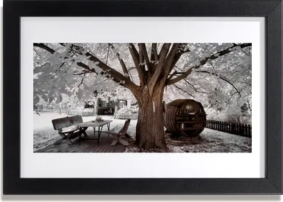 Produktbild von Bild 30x20 MDF-Rahmen Wandkunst Baum Natur