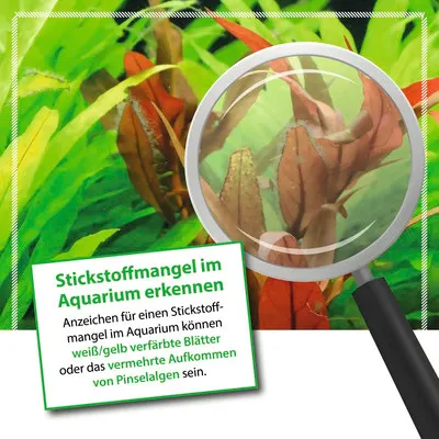 Produktbild von Aquariumpflanzendünger MICROBE-LIFT Plants NPK Volldünger 236 ml mit Nitrat, Phoshat und Kalium