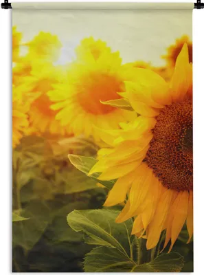Produktbild von MuchoWow® Wandteppich Wandbehang Sonnenblume - Gelb - Blumen - Sonne 60x90 cm Tapisserie Dekoration Wandtuch - Foto-Teppich - Abwaschbar
