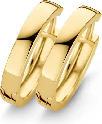 Produktbild von New Bling 9NB-0204 Zilveren oorringen - grootte 17x3 mm - goudkleurig