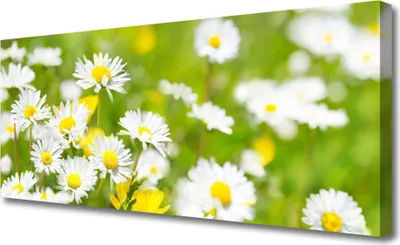 Produktbild von Tulup Leinwand-Bilder 125x50 Wandbild Canvas Kunstdruck Gänseblümchen Pflanzen