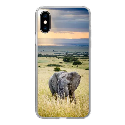 Produktbild von MuchoWow® Handyhülle Schutzhülle Hülle für iPhone X Elefant - Tiere - Landschaft - Sonne - Natur Silikon Softcase Handy Hülle - Handyhülle