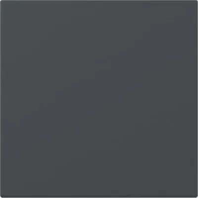 Image de Bascule droite Gira Système 55 Anthracite 349628