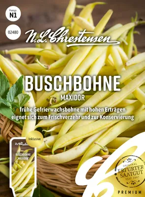 Artikelbild 1 von 'Buschbohne Maxidor' aus der Kategorie Buschbohnensamen