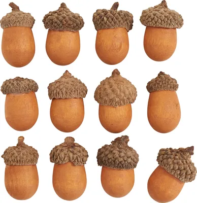 Produktbild von 12er Set Holz-Deko-Elemente für Bastelprojekte, Außen-Ø 2 cm, 3 cm Länge