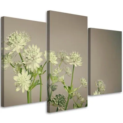 Image de Triptyque sur toile Fleurs des champs 90 x 60 cm Feeby gris Tableau mural prêt à accrocher