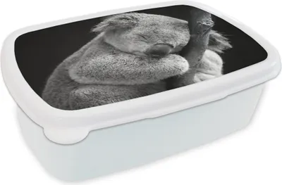 Produktbild von KitchenYeah® Lunchbox Brotzeit Brotdose 17x11 cm Koala - Zweig - Schwarz - Kinder - Jungen - Mädchen Kinder Brotzeitdose - Lunch Box - Kinder - Sandwich-Box - Schulbox - Lunch Boxen